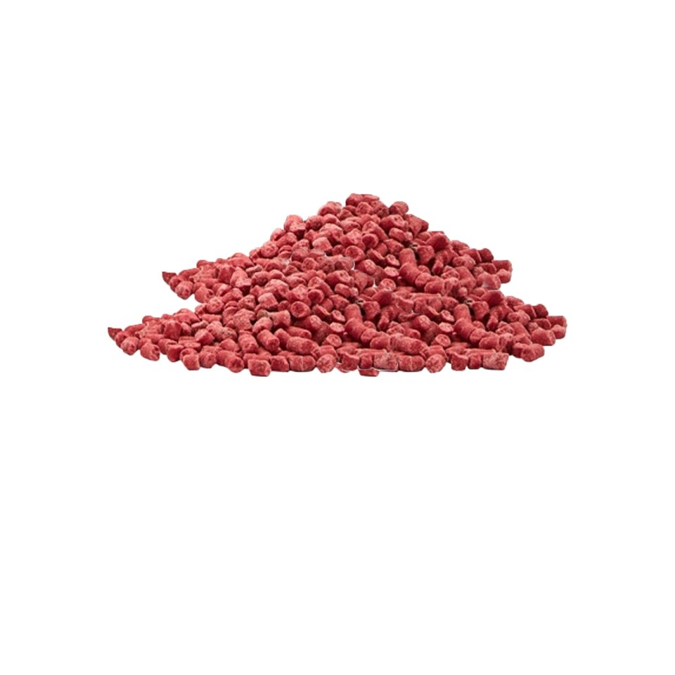 image 1 of Ambassador Suet Pellets Bird Food - Berry - 500g