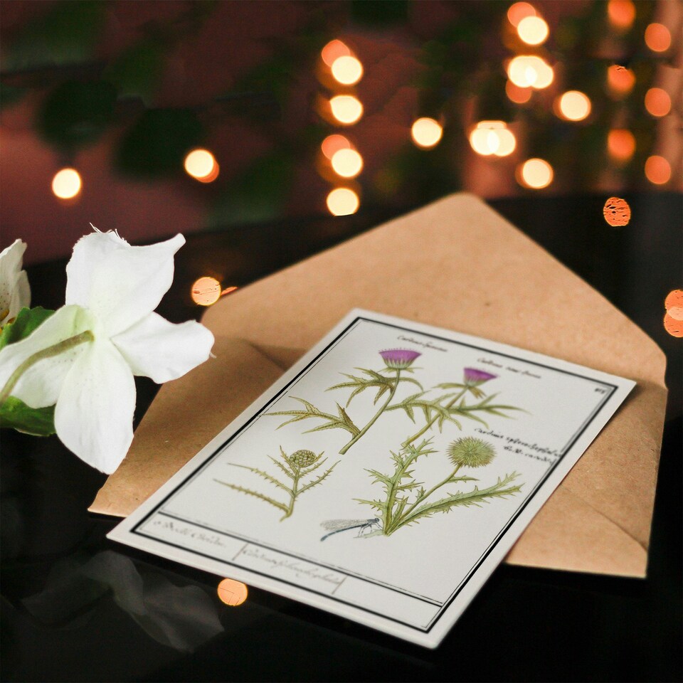 image 1 of Anselmus de Boodt Art Card Thistle and Artichoke Flowers