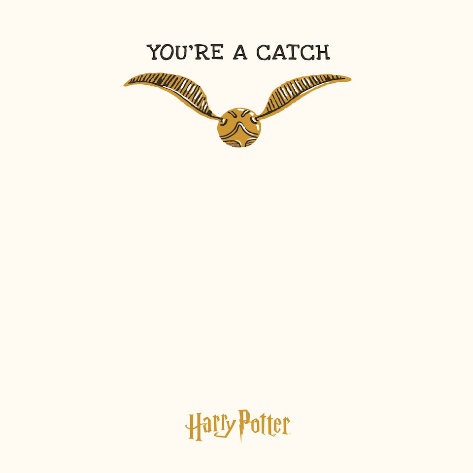 image 1 of Harry Potter 'You're A Catch' Valentine's Day Card