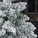 image 6 of 2ft (60cm) Pre Lit Battery LED Snow Flocked Miniature Christmas Tree with Timer