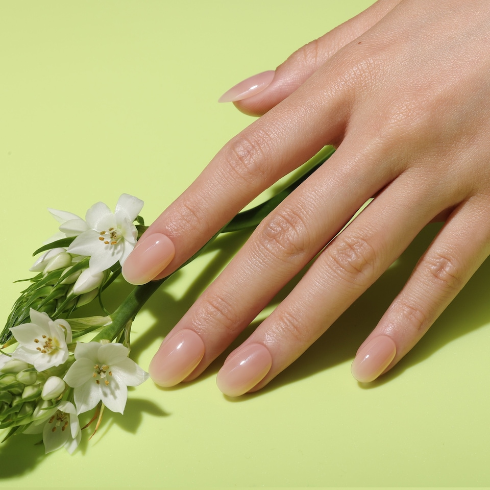 image 1 of Bluesky Beige Gel Polish - Subtle Veil 10ml | Cream | Subtle Veil