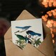 image 3 of John James Audubon Art Card Magpie Clarks Crow and Jays