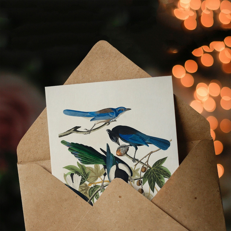 image 1 of John James Audubon Art Card Magpie Clarks Crow and Jays