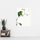 image 4 of Fairy Pitta and Japanese Allspice Vintage Wall Art Print Kashu 24x32"