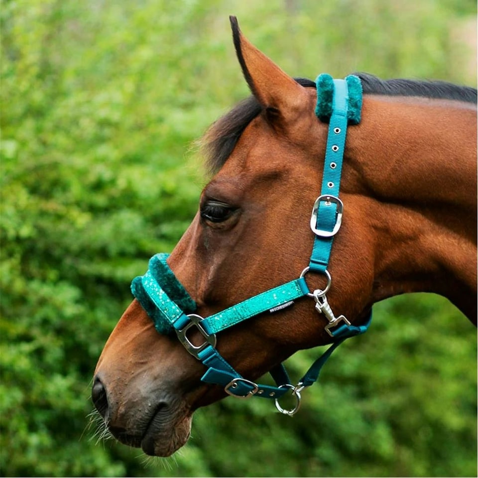 image 1 of Hy Dazzle Horse Headcollar - Alpine Green - Small Pony