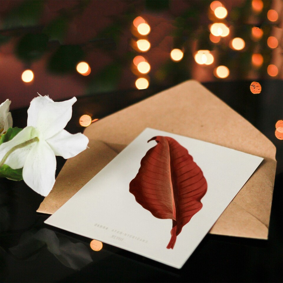 image 1 of Shirley Hibberd Art Card Canna Vintage Botany Red Leaf