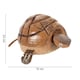 image 2 of Nodding Wooden Turtle