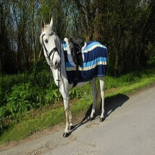 Rhinegold Fleece 3/4 Ride On Rug Red | Size: Full
Colour: Burgundy