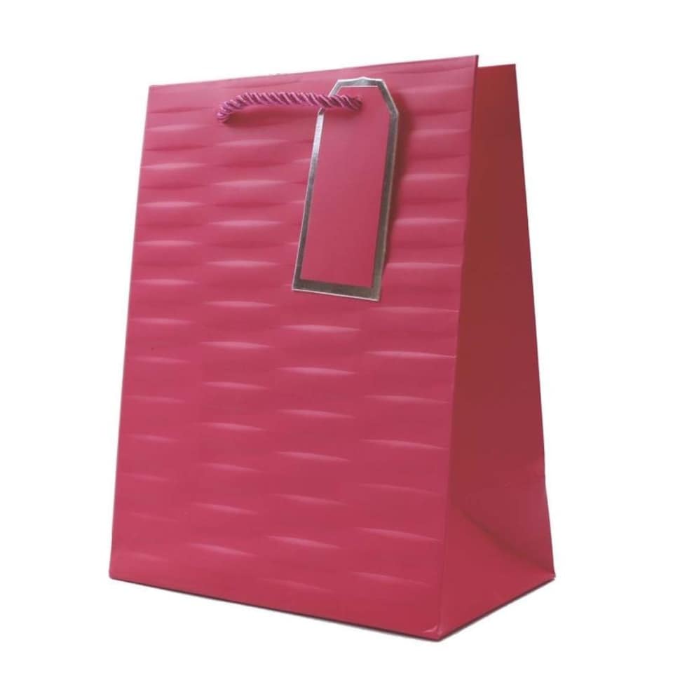 image 1 of Embossed Bright Coloured Medium Gift Bag