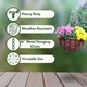 image 4 of Marco Paul Black Metal Round Hanging Basket 12" Black