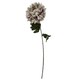 image 4 of Pack of 6 x 75cm Extra Large Reflex Chrysanthemum - Mushroom