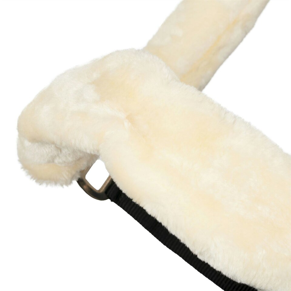 image 1 of LeMieux Comfort Headcollar Clear | X-Full