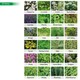 image 3 of Pronto Seed Gardeners Collection - 69 Flower, Herb & Vegetable Seeds in Jute Gift Bag - 7,540 Seeds - Gift for Gardeners