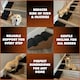 image 9 of Stairwedge Dog Steps Pack of 5 Soft grip carpet ramps with grooved safety for confident climbing Natural cork design supports mobility for dogs and small pets