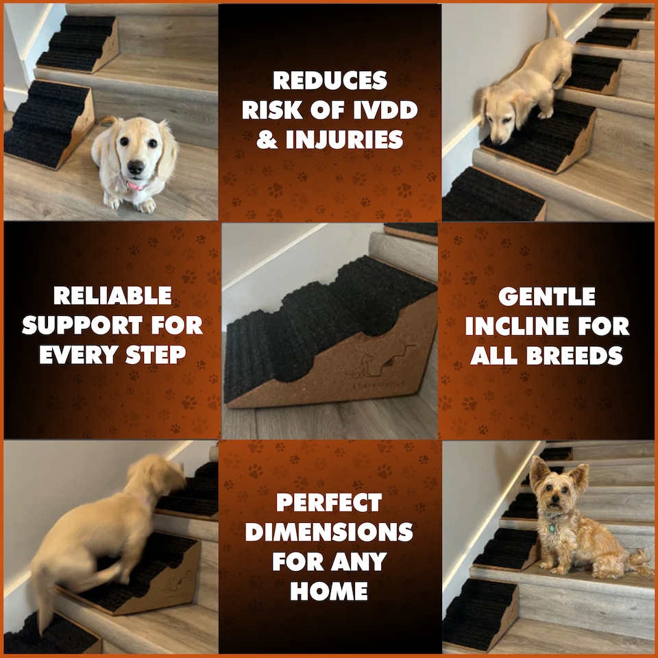 image 1 of Stairwedge Dog Steps Pack of 5 Soft grip carpet ramps with grooved safety for confident climbing Natural cork design supports mobility for dogs and small pets