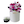 Pink and purple flowering mix