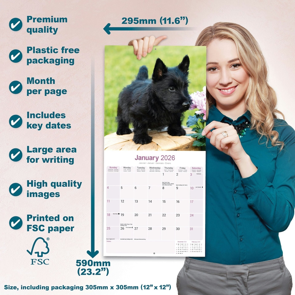 image 1 of Scottish Terrier 2026 Calendar | Square Wall Calendar | Dog Breed Gift | Plastic Free Packaging | by Avonside Publishing