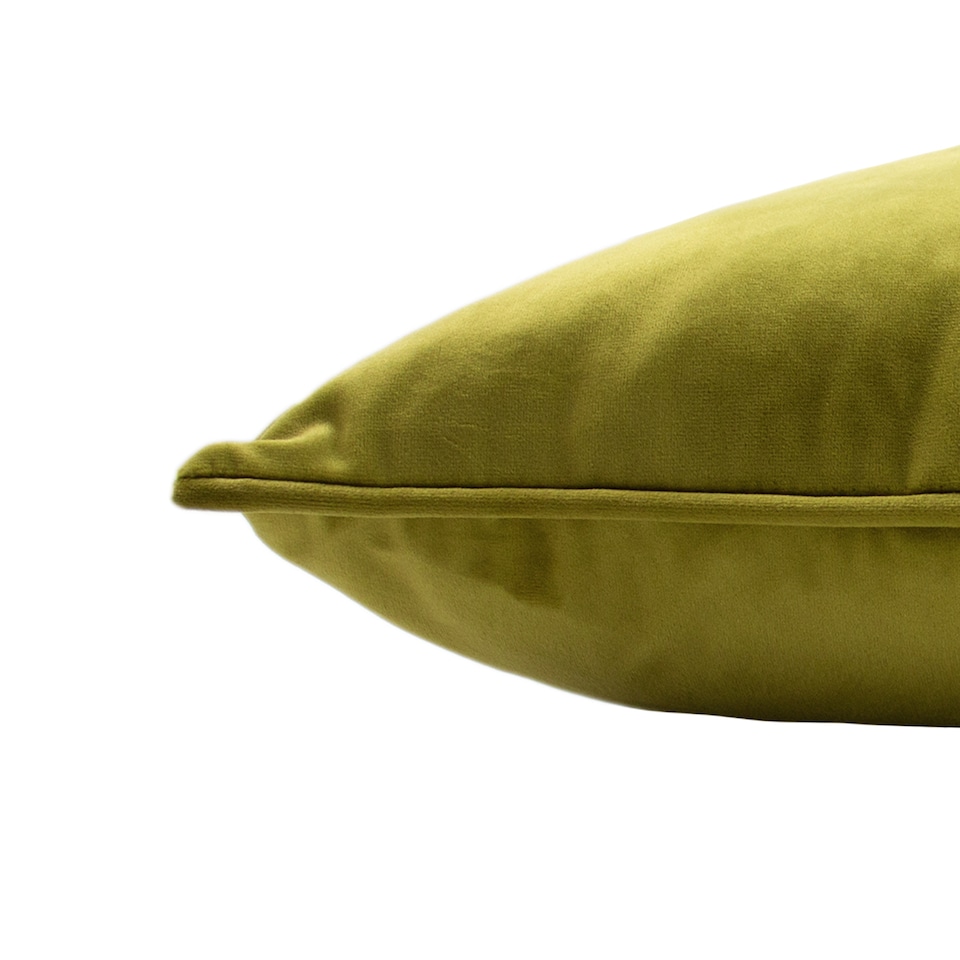 image 1 of Paoletti Hortus Embroidered Bee Cushion, Olive, 50 x 50cm
