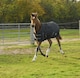 image 2 of Rhinegold Foal Konig Outdoor Rug | Black | Size: 3ft 6
Colour: Black