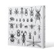 image 1 of fleas many species in vintage old hand drawn style (Canvas Print) 77 x 77 x 4cm