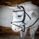 image 10 of LeMieux Grackle Bridle Black | Cob