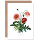 image 1 of Flower Poppy Coquelicot Double Art Blank Just to Say Card