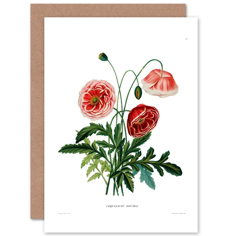 image 1 of Flower Poppy Coquelicot Double Art Blank Just to Say Card
