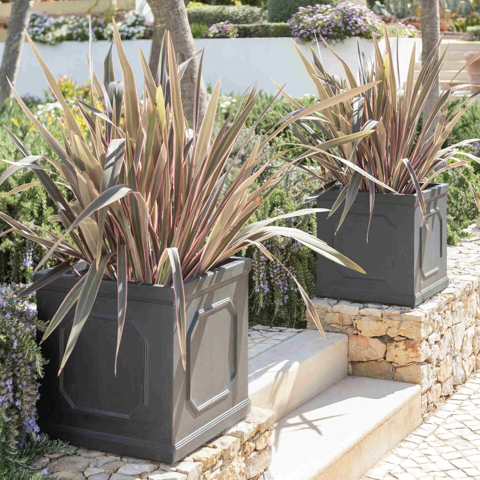 image 1 of Primrose Fibrecotta Buckingham Lead Effect Framed Cube Planter H45cm
