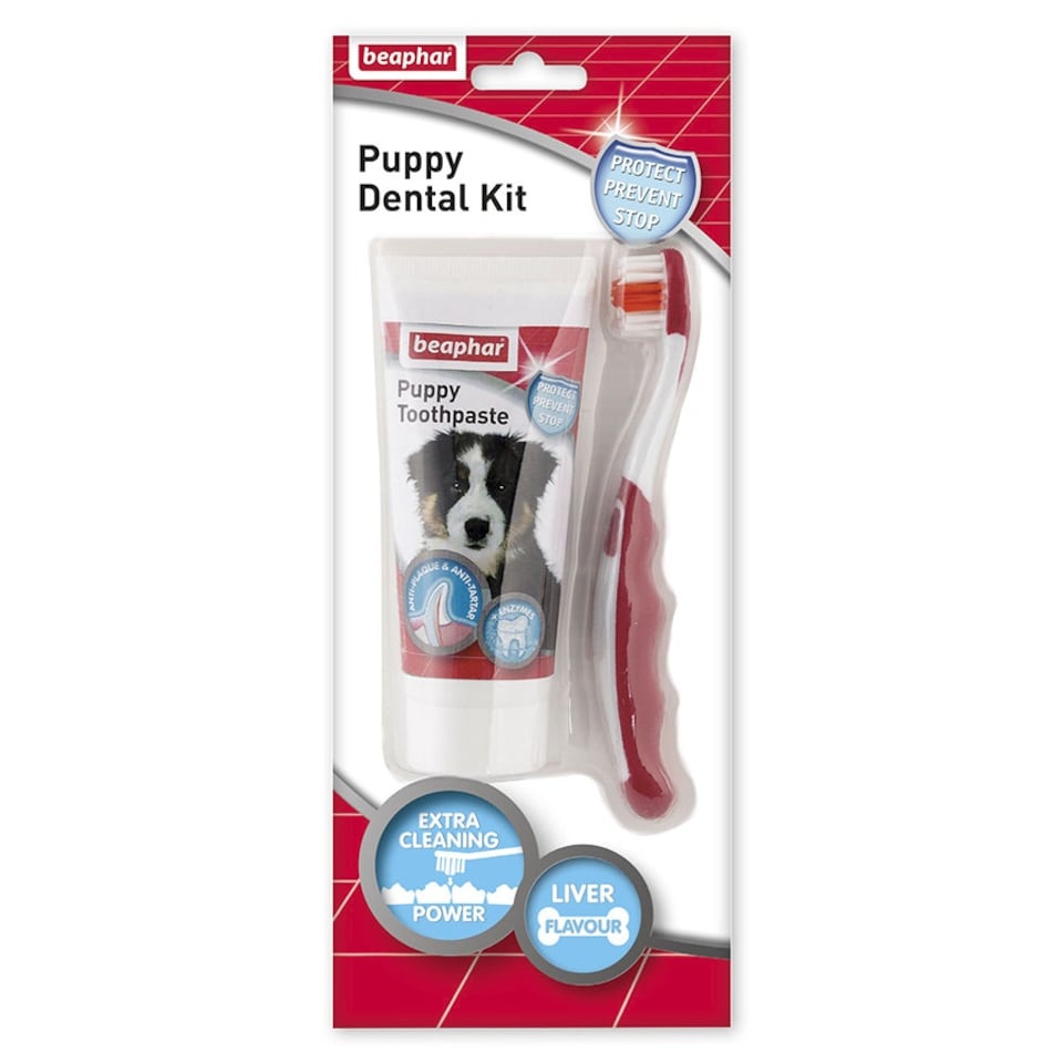 image 1 of Beaphar Puppy Dental Kit 50g - Pack of 6