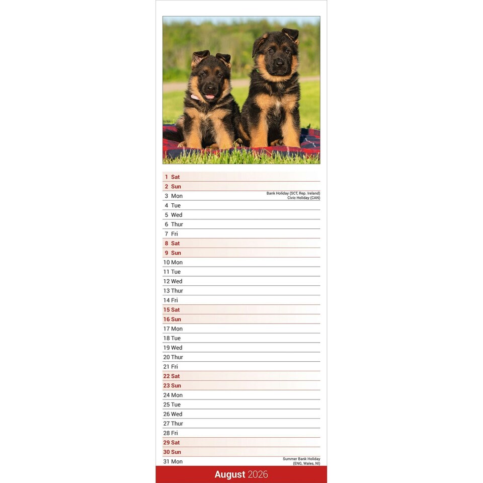 image 1 of German Shepherd Slim 2026 Calendar | Slimline Wall Calendar | Dog Breed Gift | Plastic Free Packaging | Avonside Publishing Ltd