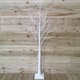 image 8 of 1.8m (6ft) Indoor Outdoor Christmas Lit Birch Tree with 80 Ice White LEDs