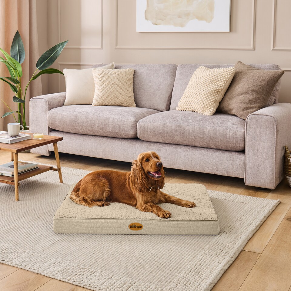 image 1 of Silentnight Firm Support Crate Mattress Pet Bed