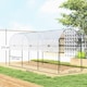 image 3 of Outsunny Tomato Greenhouse with Top Tap, Pointed Bottom and Guy Ropes, Clear