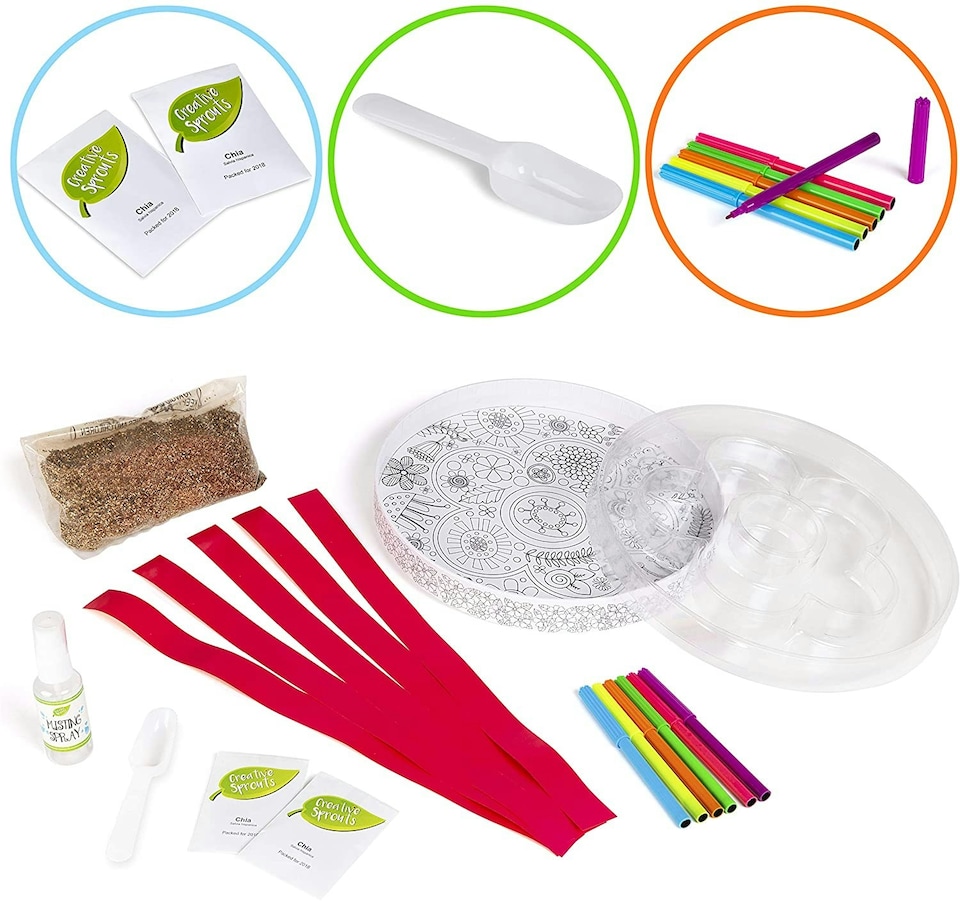 image 1 of Design & Grow Your Own Flower Shaped Chia Garden Educational Garden Activity