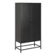 image 1 of Newcastle 2 Door Cabinet in Matt Black