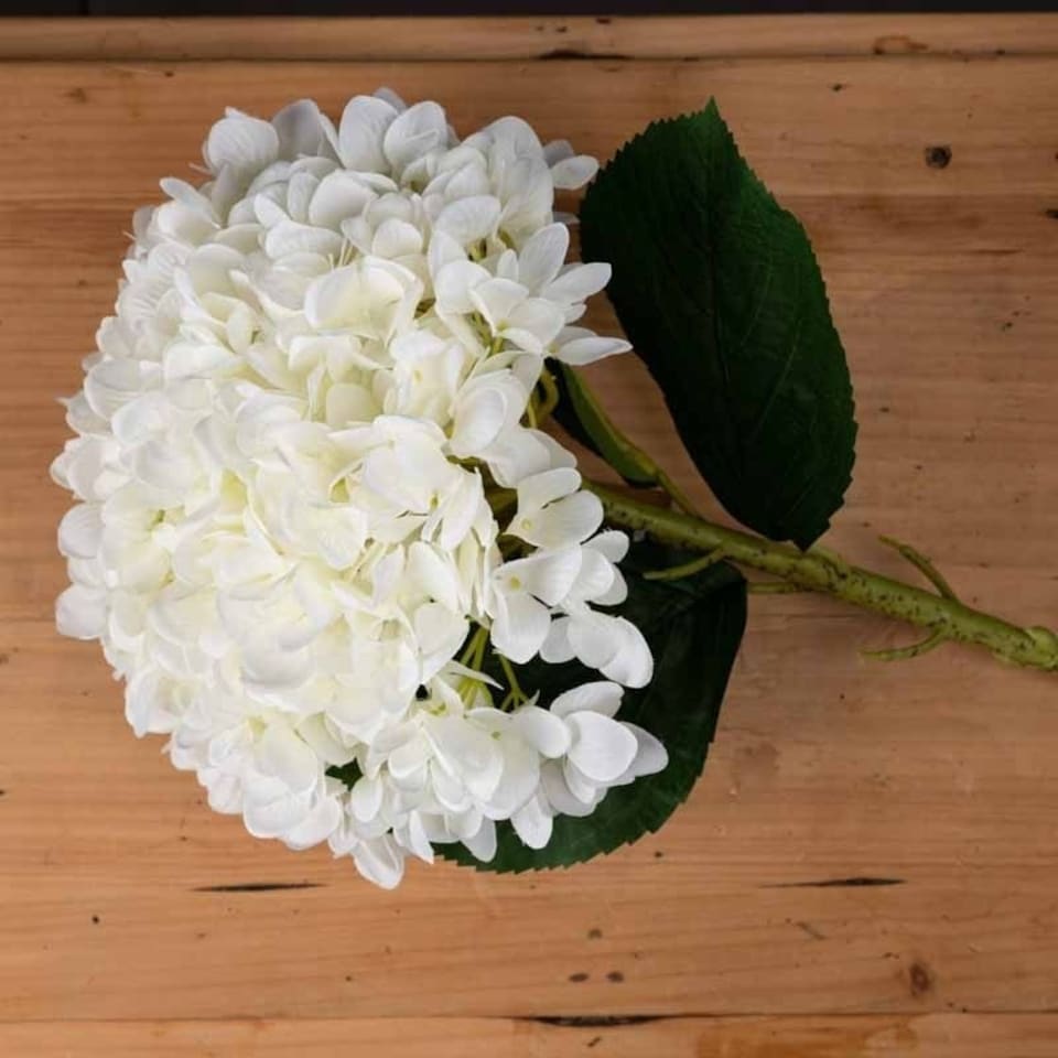 image 1 of Oversized Hydrangea Artificial Flower - Fabric/Plastic - L25 x W25 x H73 cm - White