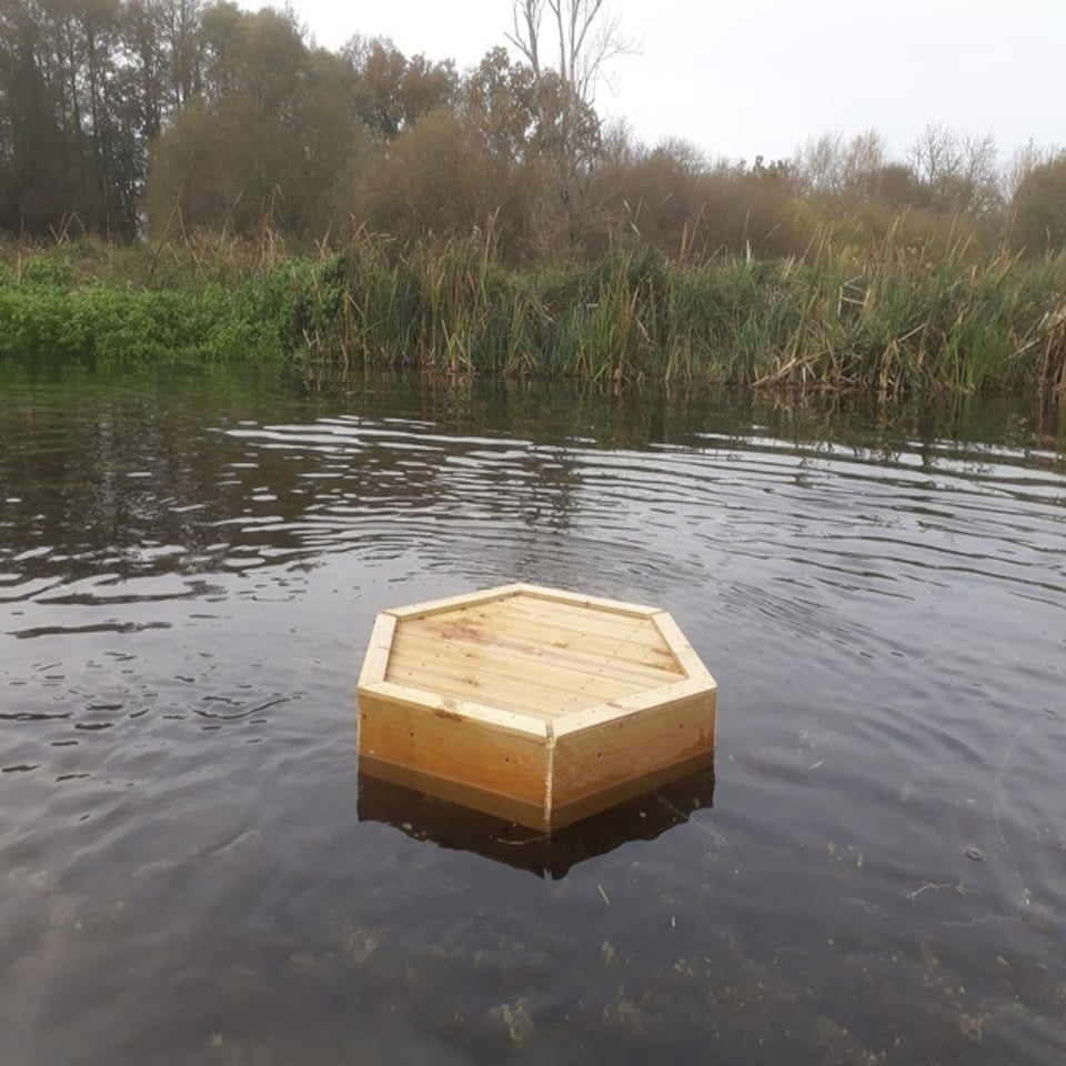 image 1 of Small Hexagonal Duck Float - L80 x W80 cm Brown | One Size