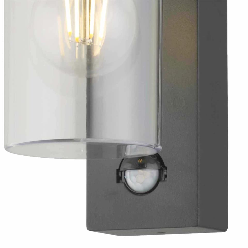 image 1 of Hadron - Black Motion Sensor Outdoor Wall Light | Black | Clear | 1