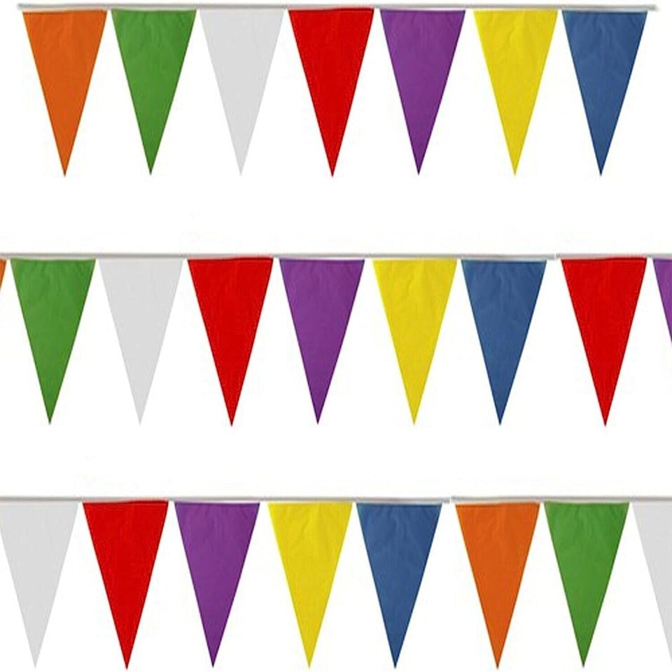 Multi Coloured Party Bunting 7m with 25 Pennants
