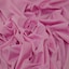 Carnation