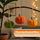 image 6 of Marco Paul Pack of 7 Plush Pumpkin Autumn Decor