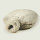 image 4 of Warmies Microwavable Bottle Latte Colour One Size