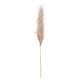 image 1 of Hill Interiors Artificial Single Stem Pampas Grass - Butter - One Size