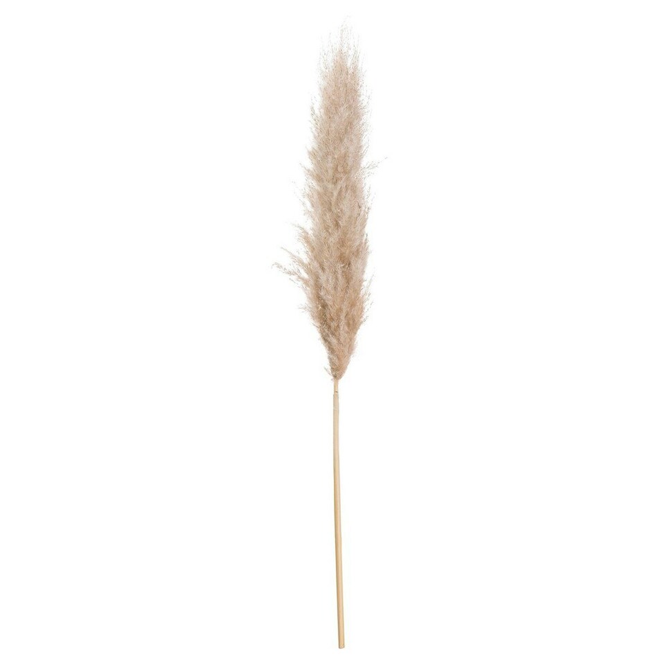 image 1 of Hill Interiors Artificial Single Stem Pampas Grass - Butter - One Size