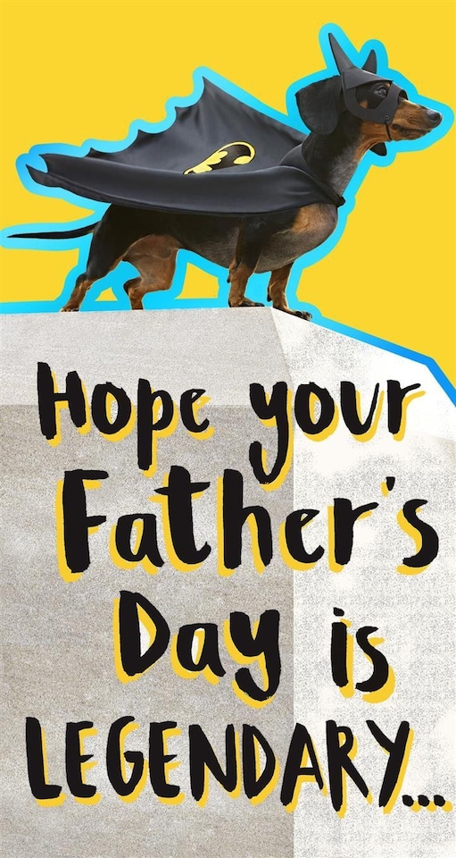Hallmark Father's Day Card Warner Bros Photographic