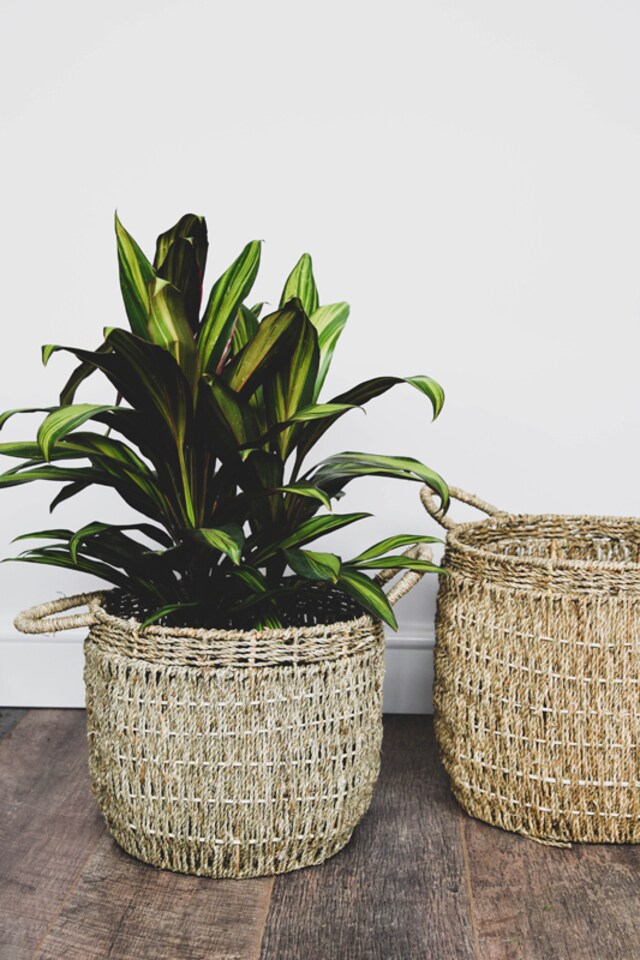 image 1 of Lined Basket (Set of 2) - Seagrass - L35 x W35 x H30 cm - Natural | Brown
