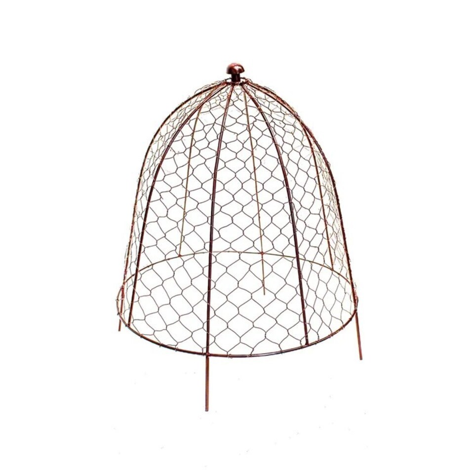 image 1 of Outdoor Wire Netted Plant Protector - Mild Steel - L36 x W36 x H48 cm - Bronze