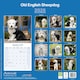 image 2 of Old English Sheepdog 2026 Calendar | Square Wall Calendar | Dog Breed Gift | Plastic Free Packaging | by Avonside Publishing