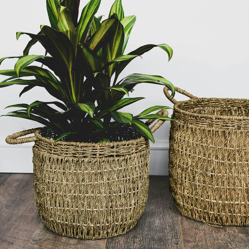 image 1 of Seagrass Lined Basket Natural Set of 2 N/A