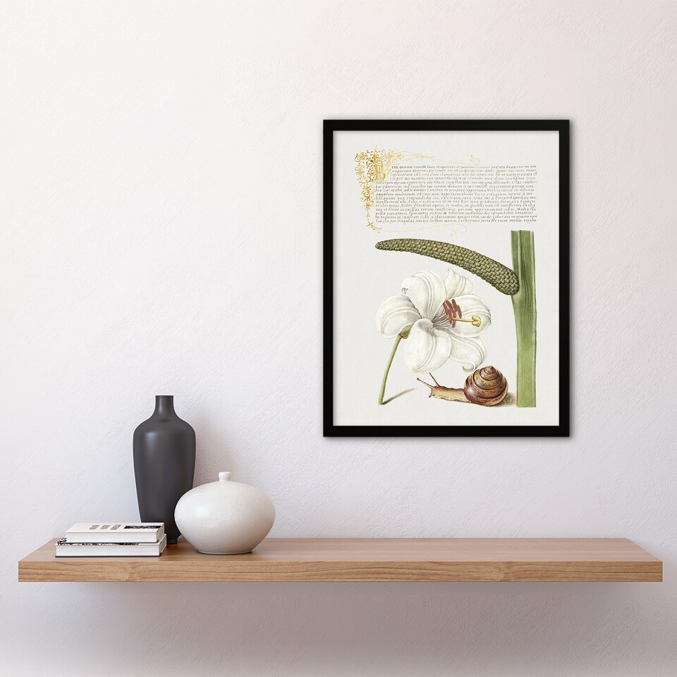 image 1 of White Lily Snail and Sweet Flag Calligraphy Framed Wall Art Print 12X16"